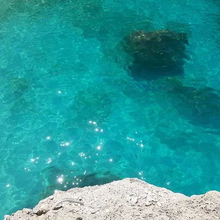 게스트하우스 Domo Incantos